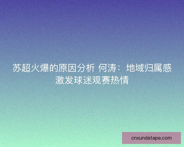 苏超火爆的原因分析 何涛：地域归属感激发球迷观赛热情